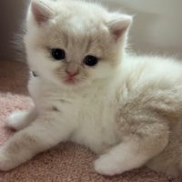 WhatsApp Image 2024-09-02 at 16.28.52