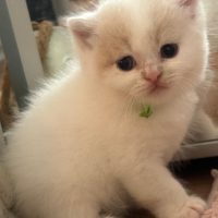 WhatsApp Image 2024-09-02 at 16.29.44