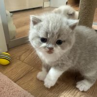 WhatsApp Image 2024-09-02 at 16.30.12