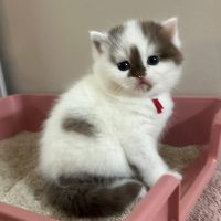 WhatsApp Image 2024-09-02 at 16.31.18